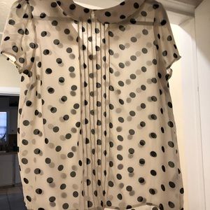 Forever21 sheer polka dot Peter Pan collar top
